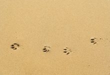 Disrupt Habitual ADHD Responses: Learn to Pause