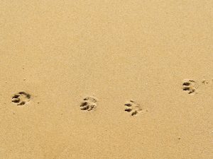 Disrupt Habitual ADHD Responses: Learn to Pause